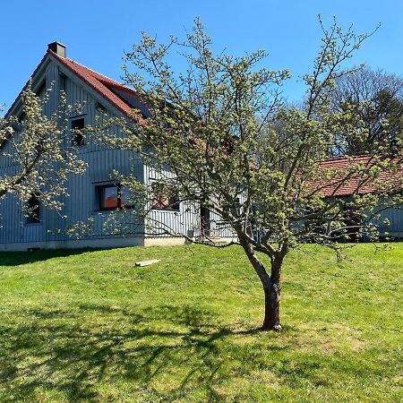 Apartamento Waldhaus Am Lilienstein Königstein Exterior foto